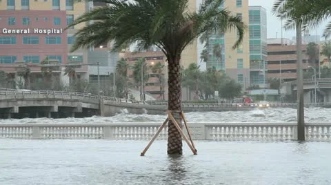 Tropical Storm Debby 07 Stockbeeldmateriaal 11399220