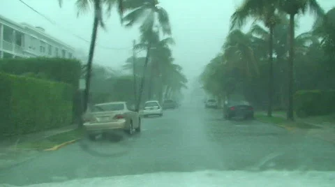 Tropical Storm Drive Stock Footage 490756