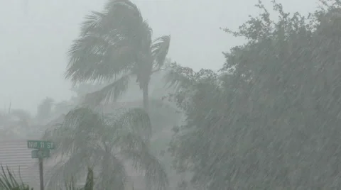 Tropical storm in FLorida Video stock 50300829