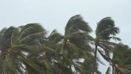 Tropical Storm With Heavy Rain. Stock Footage