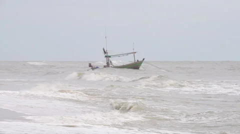Tropical Storm Hits the Beach Video stock 55064828