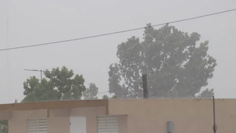 Tropical Storm Laura Video stock 137907707