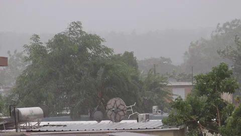 Tropical Storm Laura Stock Footage 137907838
