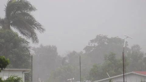 Tropical Storm Laura Stock Footage 137907886