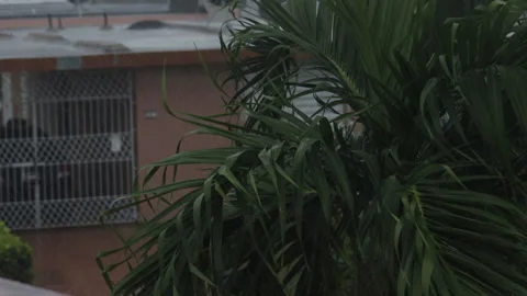 Tropical Storm Laura Stock Footage 137907946