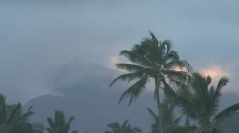 Tropical Storm Real Time Video stock 45658394
