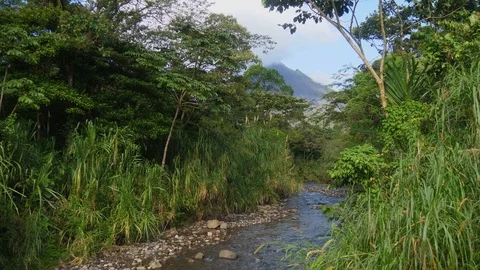 Tropical stream and Volcano Stock Footage 88827213