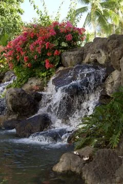 Tropical stream Stock Photos