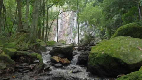 Tropical stream with waterfall on background Stock Footage 331428463