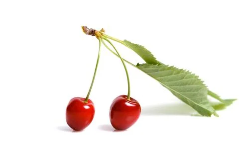 Tropical summer abstract background. Cherry with cuttings and leaves on the.. Stock Photos