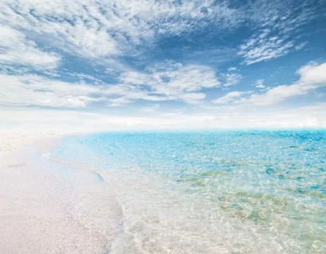 Tropical summer beach Фото