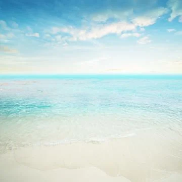 Tropical summer beach 库存照片