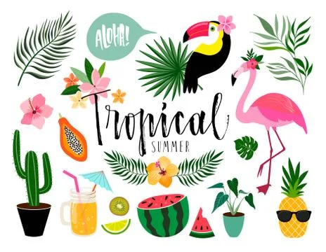 Tropical summer collection, elements isolated on white Stock Illustration