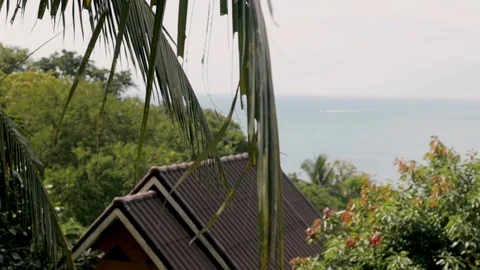 Tropical summer rain falling big rain drops falling down on straw roof in garden Stock-Footage 127151759