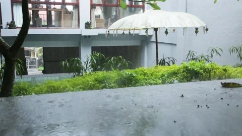 Tropical summer rain falling big rain drops falling down on swimming pool Stock Footage 131394109