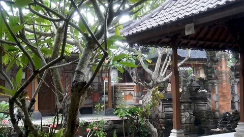 Tropical summer rain falling down in garden. Island Bali, Ubud, Indonesia Video stock 127586419