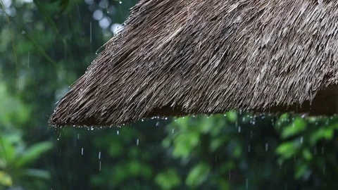 Tropical summer rain falling drops down on straw roof in garden. Bali, Indonesia Stock Footage 83961193