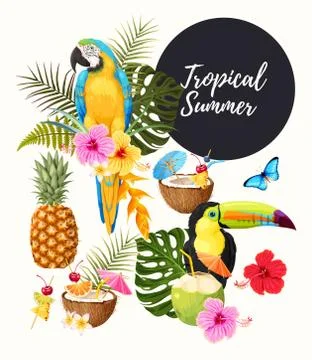 Tropical summer set Stock Illustration