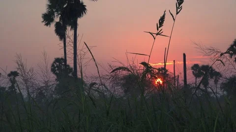 Tropical Sunrise Stock-Footage 153764108