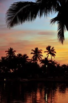 Tropical sunset background Foto stock