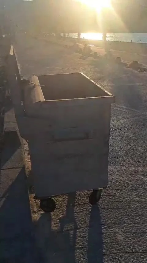 Tropical Sunset Beach  Palm Trees and Trash Bin on Street Stock Footage 340299407