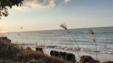 Tropical Sunset Beach with Swaying Grass and Ocean Waves Video stock 340489603