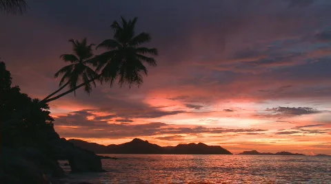 Tropical sunset close Stock Footage
