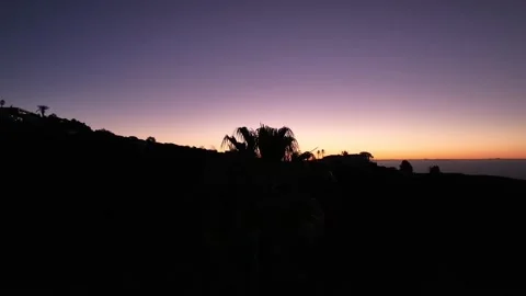 Tropical Sunset with Deep Purple Sky and Palm Silhouette Drone Canary Islands Stock Footage 309949190