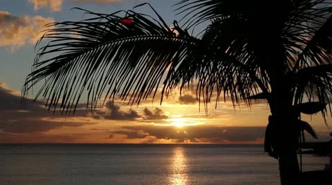 Tropical Sunset Stock Footage 22412966