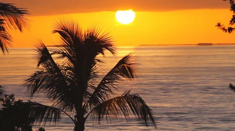 Tropical Sunset Stock Footage 40650534