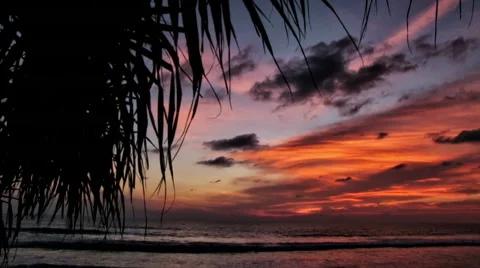 Tropical sunset Видео 58610750