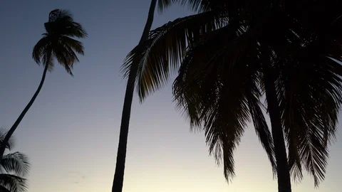 Tropical sunset Stock Footage 105871619