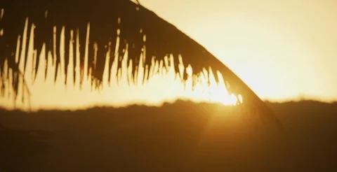 Tropical Sunset Stock Footage 128739576