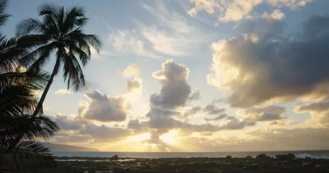 Tropical Sunset Stock Footage 262118128