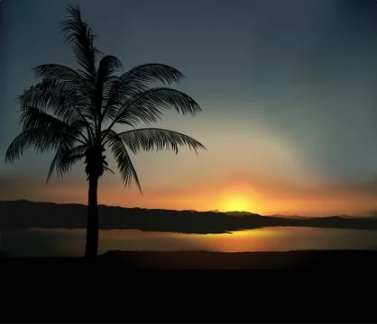Tropical Sunset Stock Illustration
