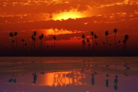 Tropical sunset with orange clouds Stock Illustration