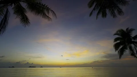 Tropical sunset over calm ocean with palm trees framing the view Stock Footage 304895601