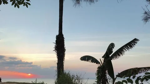 Tropical Sunset Over Ocean with Palm Tree Silhouettes at Dusk Stock Footage 341505503