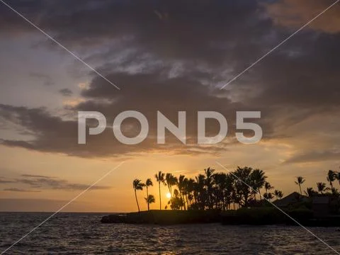 Tropical sunset with palm trees and ocean Stock Photos