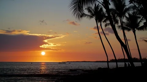 Tropical Sunset with Palm Trees Video stock 92883197