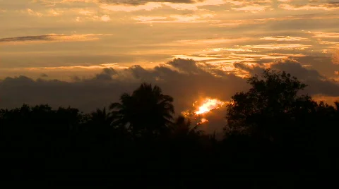 Tropical sunset with palm trees TIME-LAPSE Video stock 605745