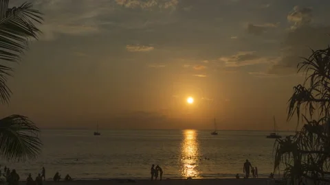 Tropical sunset with palms time lapse Stock Footage 227159927