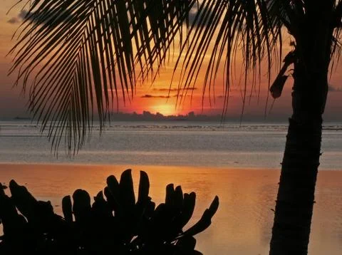 Tropical sunset Stock Photos