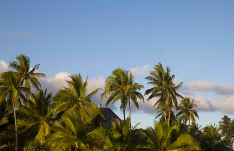 Tropical sunset Stock Photos
