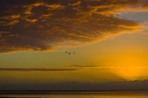 Tropical sunset Stock Photos