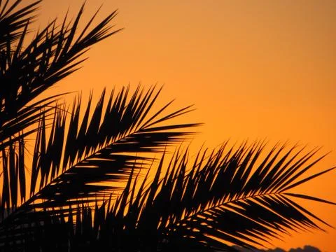 Tropical sunset Photos