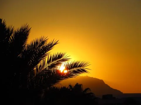 Tropical sunset Foto stock