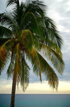 Tropical sunset 스톡 사진