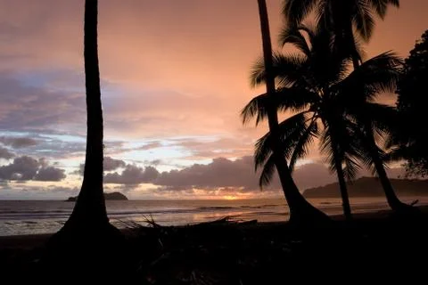 Tropical Sunset Stock Photos