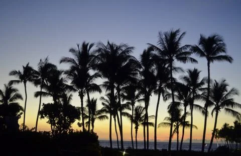 Tropical Sunset Stock Photos